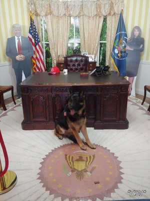 Conservative Grounds by null