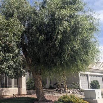 AAA Landscaping - Before front - Landscaping Near Me - Henderson, Nevada