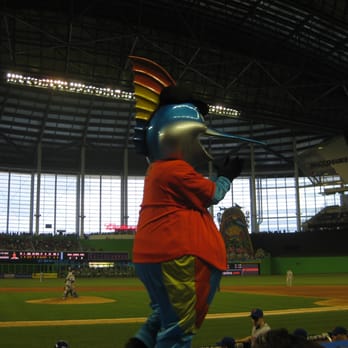 Miami Marlins - Billy Marlin - Professional Sports Teams Near Me - Miami, Florida Miami Marlins - Billy Marlin - Professional Sports Teams Near Me - Miami, Florida