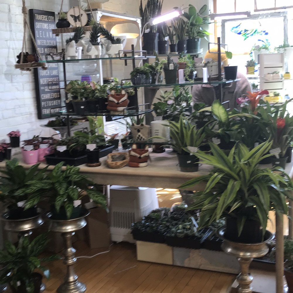 My Secret Stash - Gift Shops Near Me - Traverse City, Michigan My Secret Stash - Gift Shops Near Me - Traverse City, Michigan