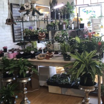 My Secret Stash - Gift Shops Near Me - Traverse City, Michigan My Secret Stash - Gift Shops Near Me - Traverse City, Michigan