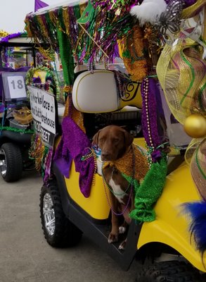 3 Doors Down Bar by null