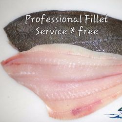 Willis Seafood Market