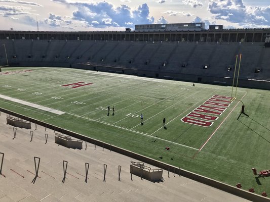 Harvard Stadium by null