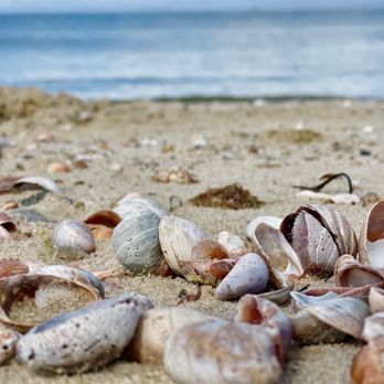 Sunset Beach - Beaches Near Me - Montauk, New York
