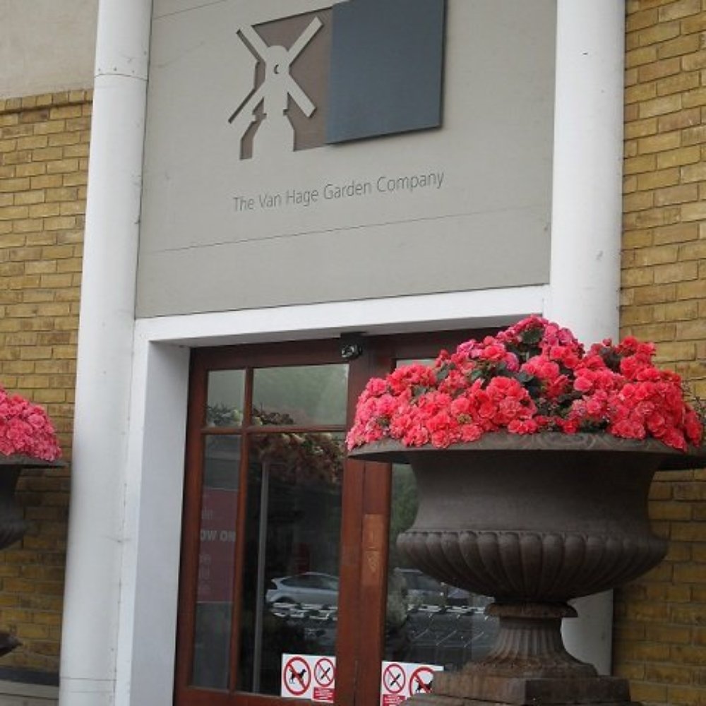 Garden Centre Near Lister Hospital Stevenage Fasci Garden