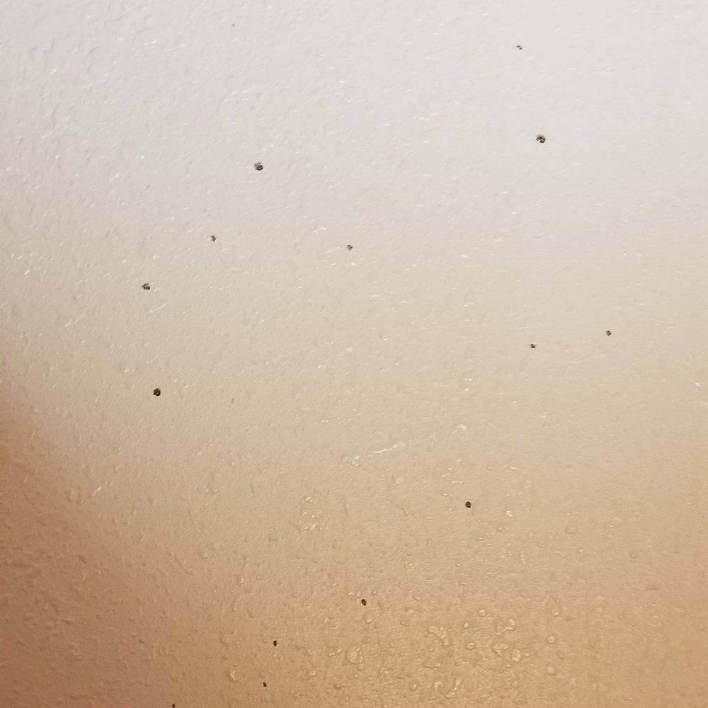 Blood splatter on the wall Blood splatter on the wall