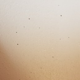 Blood splatter on the wall