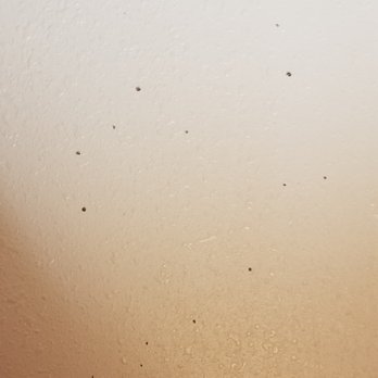 Motel 6 - Blood splatter on the wall - Hotels Near Me - Brooklawn, New Jersey