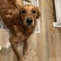 Photo of Northshore Animal Hospital
