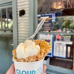 Toasted Rice Ice Cream Pint