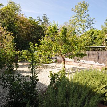 JN Land Maintenance - Low Maintenance Landscape #Save water - Landscaping Near Me - Inglewood, California JN Land Maintenance - Low Maintenance Landscape #Save water - Landscaping Near Me - Inglewood, California