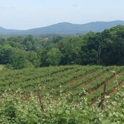 Drive For You Winery Tours - Beautiful vineyards in Dahlonega, Ga.
