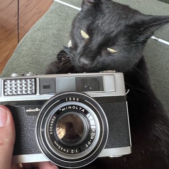 RecycledPhoto - Minolta AL Rangefinder. Cat not purchased from shop. - Photography Stores & Services Near Me - Louisville, Colorado RecycledPhoto - Minolta AL Rangefinder. Cat not purchased from shop. - Photography Stores & Services Near Me - Louisville, Colorado