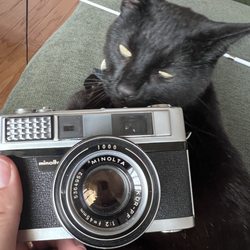 RecycledPhoto - Minolta AL Rangefinder. Cat not purchased from shop.