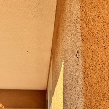 EnviroGuard - Bugs everywhere! This product and company SUCKS and they will draft your money without permission. - Pest Control Near Me - Albuquerque, New Mexico
