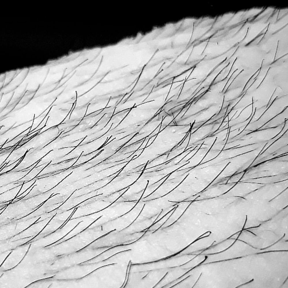 WAXIDERMY 1929 Fulton St, Fresno, California Waxing Yelp