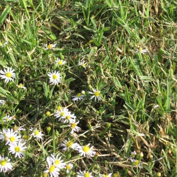 Riverside Park - Parks Near Me - Fort Worth, Texas