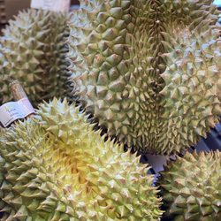 BF Yang Foods - What is a durian? This stinky fruit is actually very delicious. If you can battle the smell, you can enjoy this exotic fruit.