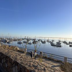 Monterey Bay Half Marathon