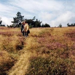 Hochheide und Ettelsberg - Hochheide und Ettelsberg