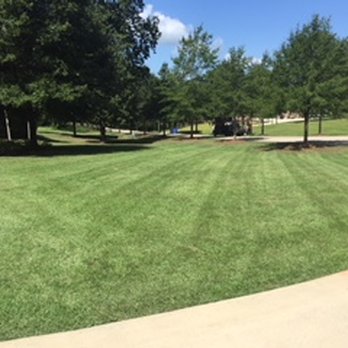 Cannon Lawn Care - a view of a green lawn - Lawn Services Near Me - Slocomb, Alabama Cannon Lawn Care - a view of a green lawn - Lawn Services Near Me - Slocomb, Alabama