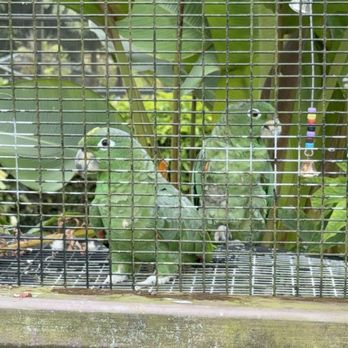 Pana'ewa Rainforest Zoo & Gardens - Zoos Near Me - Hilo, Hawaii