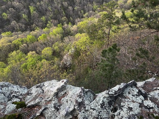 Petit Jean State Park Lake by null