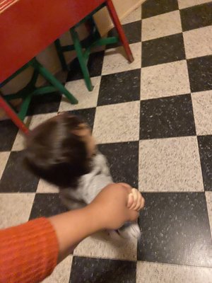 Canada Science and Technology Museum by null