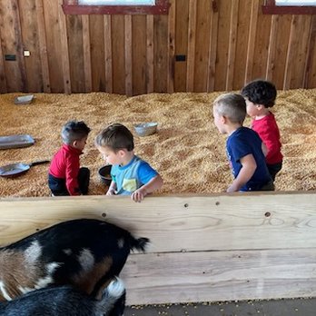 Kelkenberg Farm - Cornbox sandbox - Active Life Near Me - Clarence Center, New York Kelkenberg Farm - Cornbox sandbox - Active Life Near Me - Clarence Center, New York