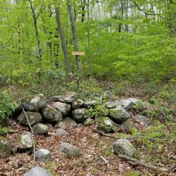 Westerly Town Forest - Sign pointing the way back to parking lot.