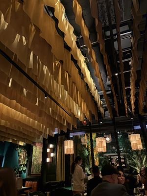 Crying Tiger by null