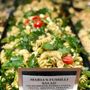 Gemelli Gourmet Market North