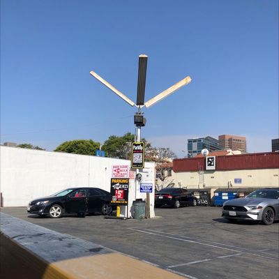 Fat Sal's Deli by null