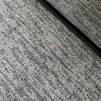 Camelback Resort - Something on the rug - Resorts Near Me - Tannersville, Pennsylvania Camelback Resort - Something on the rug - Resorts Near Me - Tannersville, Pennsylvania