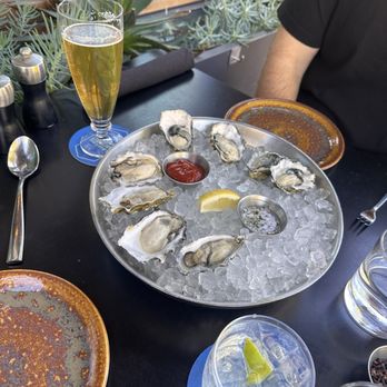 SOCIAL BIRD - Oysters - Gastropubs Near Me - Lafayette, California