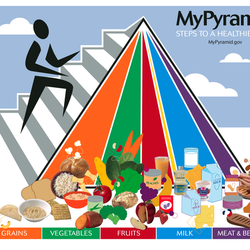 Diane Kazer - Who's looking out for me? What's best for MY body? Food for fuel varies in each body as it does our cars