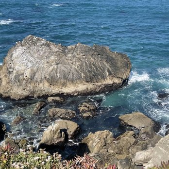Ocean Cove Campground - L O V E - Parks Near Me - Walsh Landing, California Ocean Cove Campground - L O V E - Parks Near Me - Walsh Landing, California