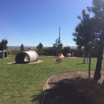 Yanks RV Resort - The dog park is large - RV Parks Near Me - Greenfield, California Yanks RV Resort - The dog park is large - RV Parks Near Me - Greenfield, California