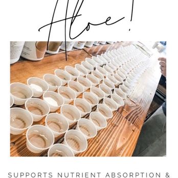 Shape’n It Up Nutrition - Aloe Shots - Coffee & Tea Near Me - Wichita, Kansas Shape’n It Up Nutrition - Aloe Shots - Coffee & Tea Near Me - Wichita, Kansas