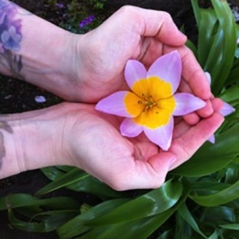Woven Body Healing Arts - Thai Massage | Thai Herbal Massage | Reiki - Massage Near Me - Eugene, Oregon Woven Body Healing Arts - Thai Massage | Thai Herbal Massage | Reiki - Massage Near Me - Eugene, Oregon