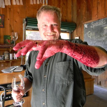 Crystal Basin Cellars - Crush is coming....get ready! - Wineries Near Me - Camino, California