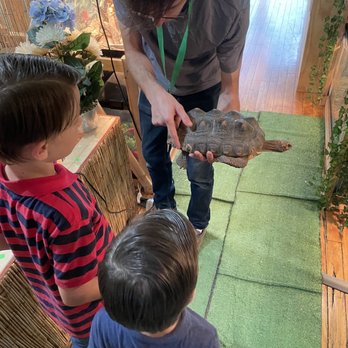 Prehistoric World - Explaining that this turtles was rescued bc it had been gnawed on by a dog. - Zoos Near Me - Perry, New York Prehistoric World - Explaining that this turtles was rescued bc it had been gnawed on by a dog. - Zoos Near Me - Perry, New York