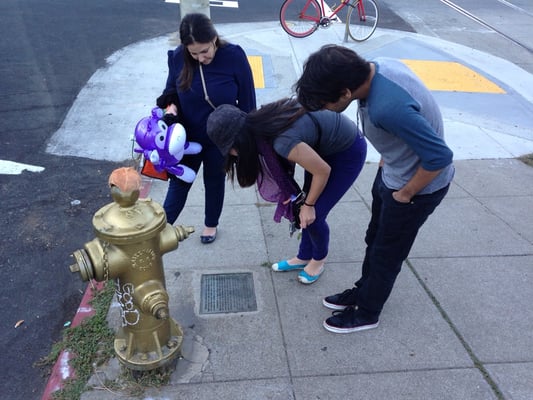 The Golden Fire Hydrant by null
