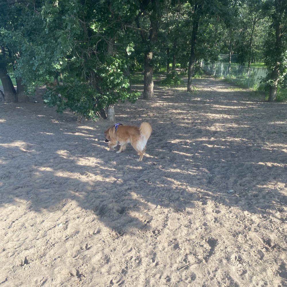 Bunker Hills Dog Park - Dog Parks Near Me - Coon Rapids, Minnesota