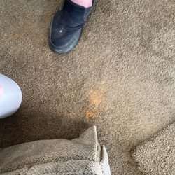 Accent Carpet One Floor & Home