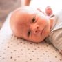 Photo of ImageSmith Photography