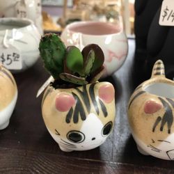 OakPo Paper - New planters at OakPo!