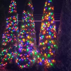 Evergreen Arboretum and Gardens - Wintertide Lights