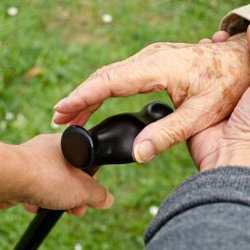 Mobile Therapy Solutions - Consultancy